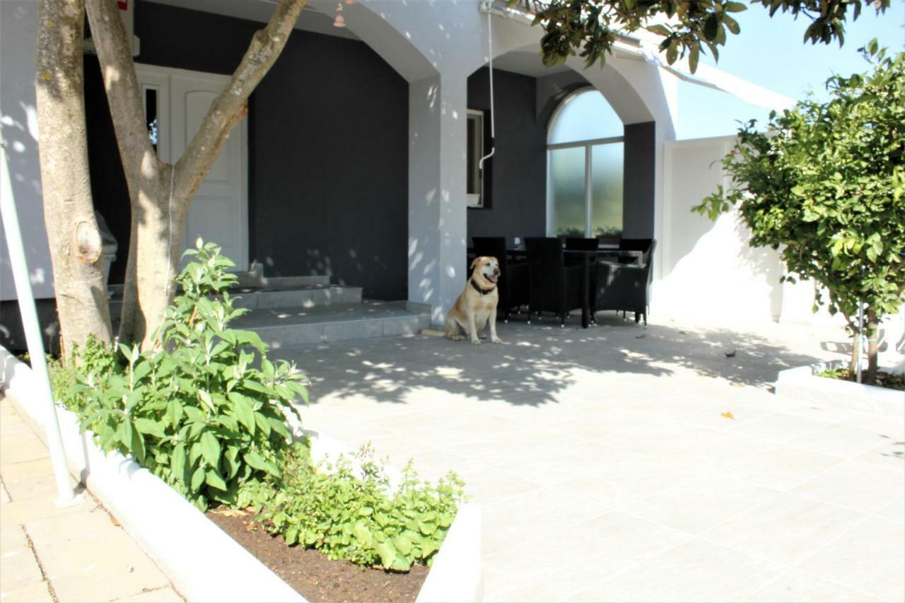 Holiday House Zaton Nin Exterior photo